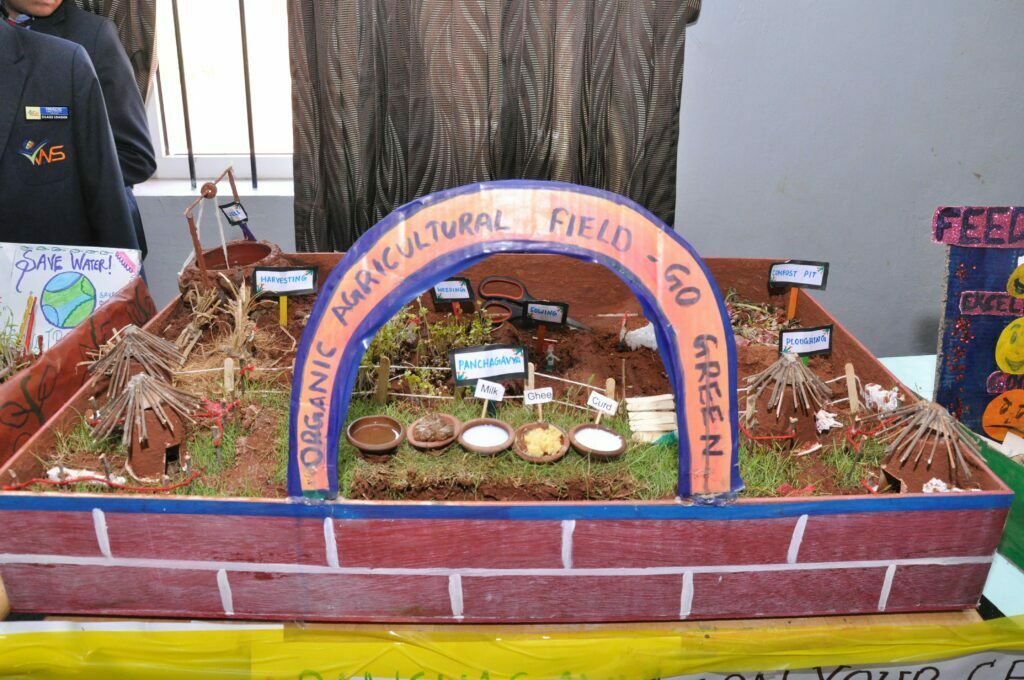 Reedsws School