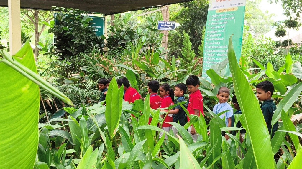 A Day of Discovery: Students Explore Science, Art, and Nature | REEDSWS 11 CBSE School in Coimbatore