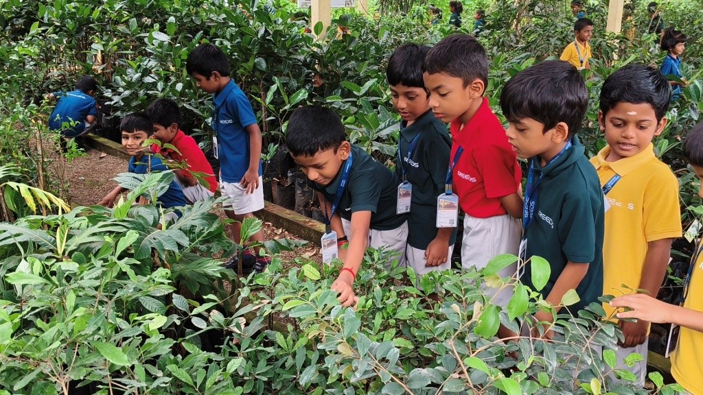 A Day of Discovery: Students Explore Science, Art, and Nature | REEDSWS 10 Best School in Coimbatore